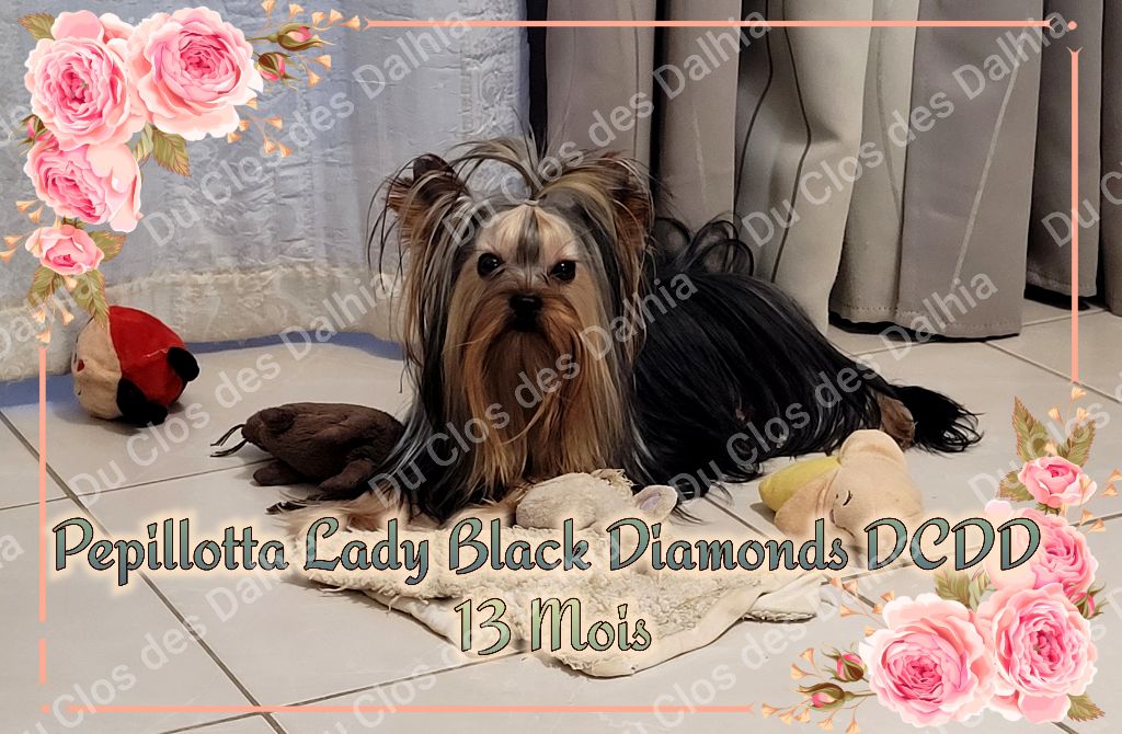 peppilotta Lady black diamonds